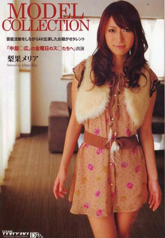 [PT-106] Model Collection : 梨果梅里亞